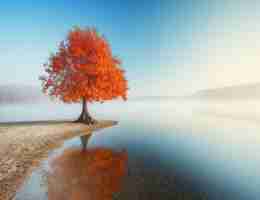 数﻿据​挖‌掘‌如‍何﻿做﻿